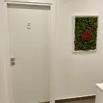 Stella カターニア