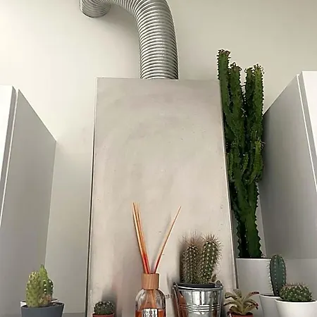 Stella